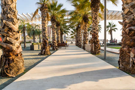 Malaga / Spain - May 18th, 2020: Empty Walkway Between Palms on Palmeral de las Sorpresasのeditorial素材