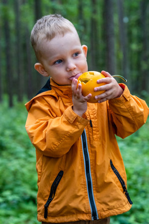 Toddler Playing with Carved Pumpkin, Halloween Themed Poster with Copy Spaceの写真素材