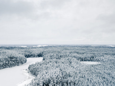 Grey Sky Over Snow Covered Forest in Winter - Drone Photoの写真素材