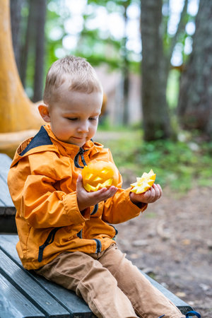 Toddler Holding Small Carved Pumpkin, Copy Space for Cute Halloween Bannerの写真素材