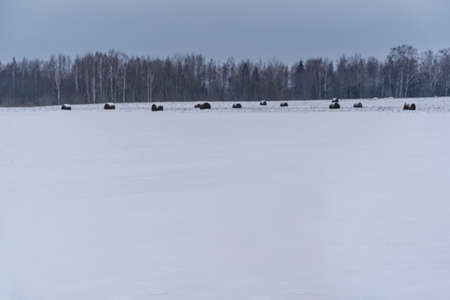 White Snow Covering Ground Background on Cloudy Day with Skylineの写真素材