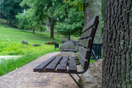 Empty Wooden Benches in Park with Rain Drops on them and Copy Spaceの写真素材