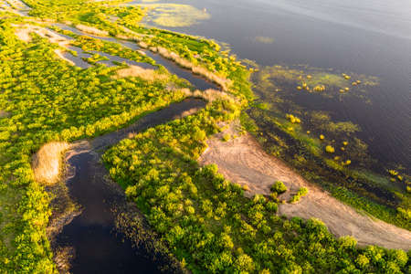 Green Swamp from Top in Golden Hour Sunset Colors, Warm Summer Eveningの写真素材
