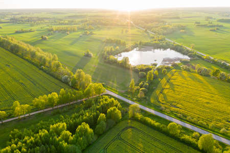 Distant Aerial View on Farmland with Rapeseed Fields and Pond on Sunny Spring Eveningの写真素材