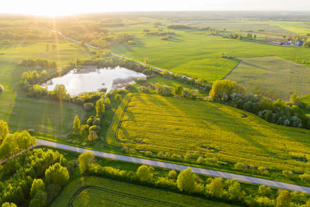 Distant Aerial View on Farmland with Rapeseed Fields and Pond on Sunny Spring Eveningの写真素材