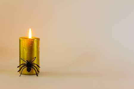 Golden candle with a spider. Halloween background. Minimal. Selective focus. Copy space.の写真素材