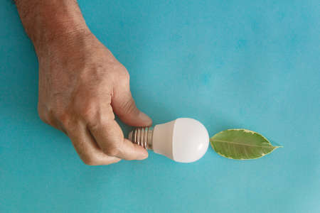 Ecological and green energy concept with light bulb and plant leaf. Energy saving. Copy space. Selective focus.の写真素材