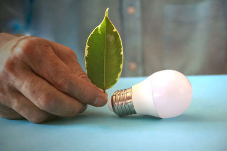 Ecological and green energy concept with light bulb and plant leaf. Energy saving. Copy space....