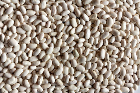 White beans background. Texture. Selective focus.