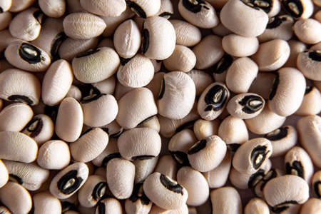 Black and white beans background. Texture. Selective focus.