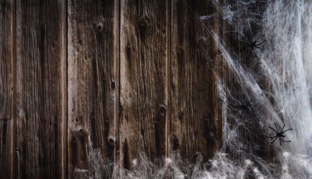 Spider web on wooden background. Halloween banner. Copy space. Selective focus.の写真素材