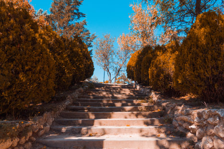 Stone stairs in the park on an autumn day. Copy space.  Selective focus.