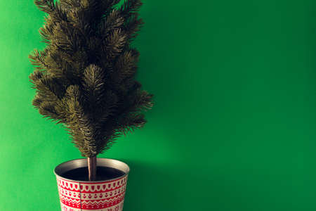 Christmas fir tree on green background. Copy space. Selective focus.の写真素材