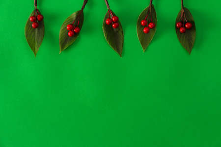 Decorative Christmas holly leaves on green background. Copy space. Selective focus.の写真素材