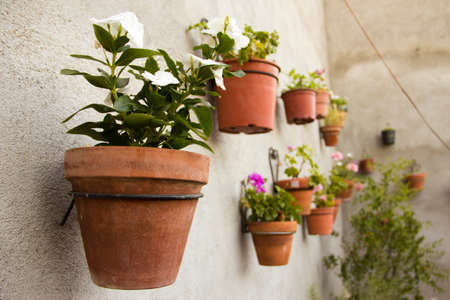 Picturesque corner with pots full of flowers hanging on the wall. Selective focus. Copy space.