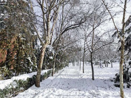 Winter urban landscape. Snow-covered city. Urban furniture with snow. Tree branches with snowflakes. Selective focus.の写真素材