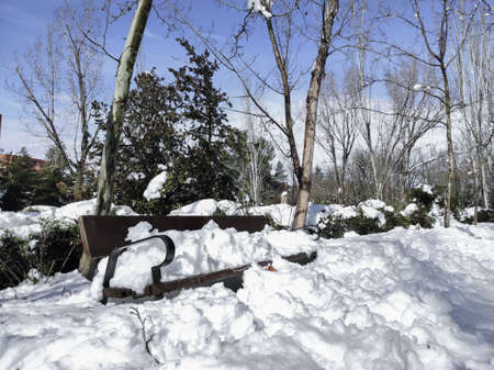 Bench with snow. Winter urban landscape. Snowflakes on tree branches. Park.Selective focus.