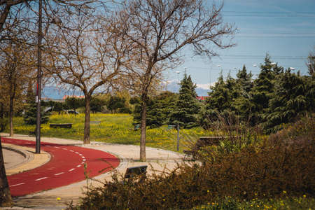 Urban park with bike lane. Copyspace. Selective focus. Sports in the city.の写真素材