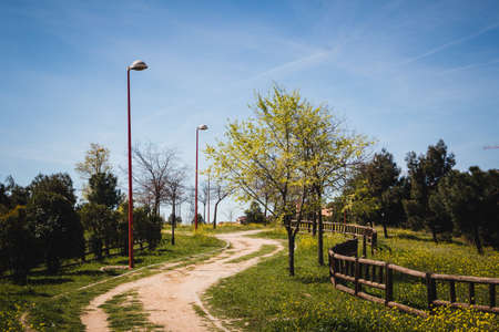 Urban park with dirt road and wooden fences with buildings in the background. Copyspace. Selective...