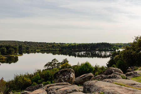 Trees reflected in the river. Natural mirror. Selective focus. Copyspace.の写真素材