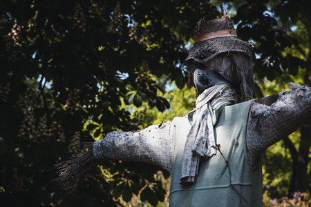 Scarecrow to scare away birds in the crop field. Copy space. Selective focus.の写真素材