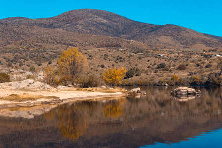 Autumn landscape with lake and trees with golden leaves. Selective focus. Copyspace.の写真素材