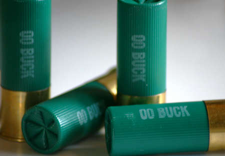 12 guage shotgun ammo