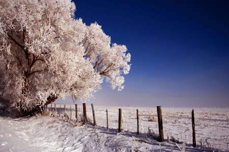 Icy rural road in Valley County Idaho, Winterの写真素材