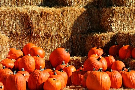 Pile of pumpkins at the local produce stand