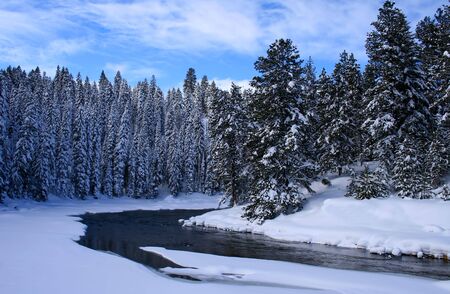 Payette river winding through central Idaho forest in winterの写真素材