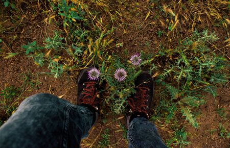 pebbled feet and green thornsのeditorial素材