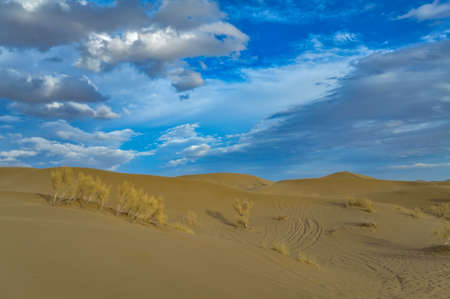 Scenic view of the Varzaneh sand dunes, an ancient desert in central Iranの写真素材