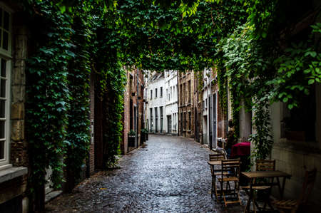 Antwerp, Belgium - July 12, 2019: Cozy old street with no people after rain in the city of Antwerp in Belgiumのeditorial素材