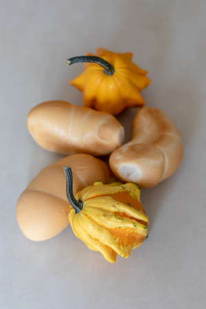 Bread and whole grain bread and autumn pumpkins on textured light backgroundの写真素材