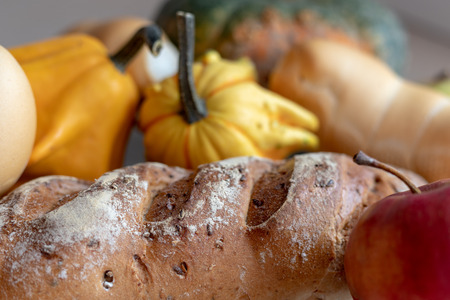Bread and whole grain bread and autumn pumpkins on textured light backgroundの写真素材