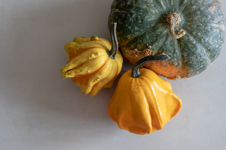 Edible and decorative green and yellow pumpkins on a light textured backgroundの写真素材