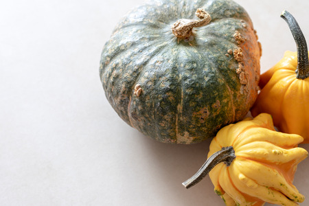 Edible and decorative green and yellow pumpkins on a light textured backgroundの写真素材