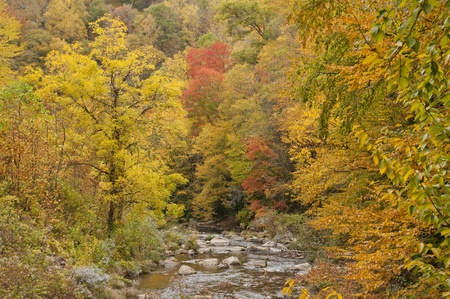 A peaceful mountain stream surrounded by Fall colors in the Smoky Mountains in Topton, North Carolina.の写真素材