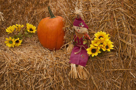 Pumpkin with small scarecrow and sun flowers on a bail of hay to reflect the Halloween season or harvest time.の写真素材