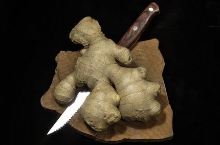 fresh juicy spicy ginger rootの写真素材