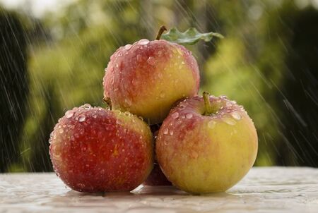 Dew drops on the surface of sweet juicy fruits