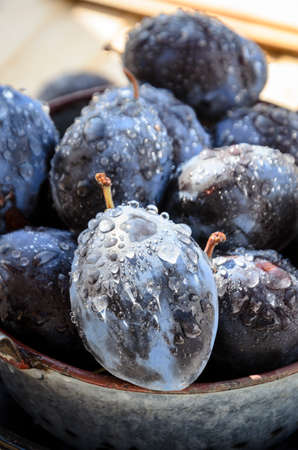 homemade purple plum sweet preservesの写真素材