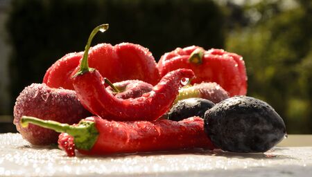 red hot chilli peppers in the summer rainの写真素材