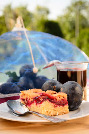 homemade purple plum sweet preservesの写真素材