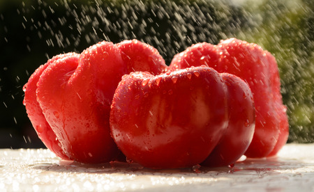 red hot chilli peppers in the summer rainの写真素材