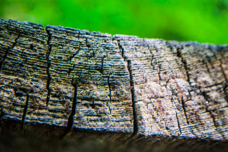 skin textureの写真素材