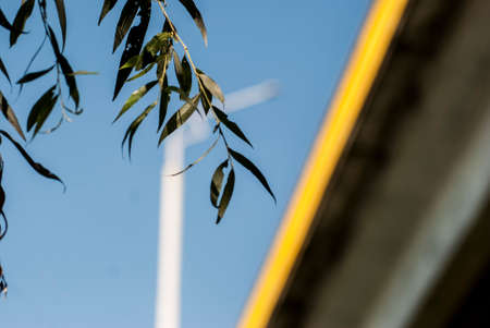 a young willow branch on the background of a yellow bridgeの写真素材