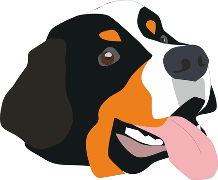Head of Bernese mountain dog.のイラスト素材