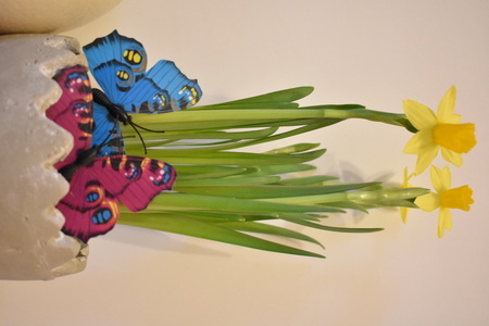 Spring Decoration with Narcissus and Butterfliesの写真素材