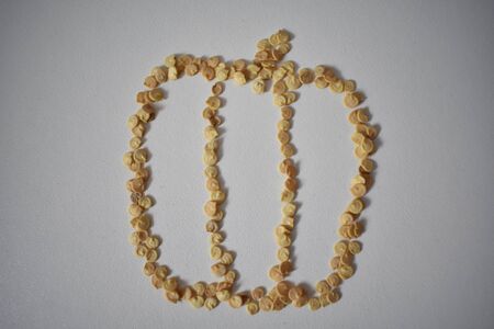 Pepper from the Seeds on White Backgoundの写真素材